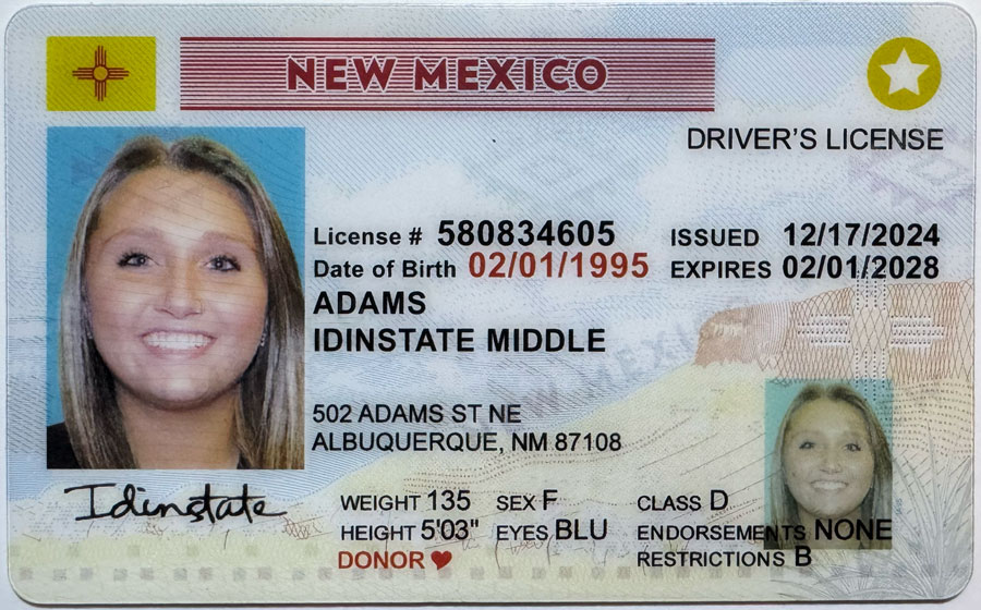 NM-1 (1)